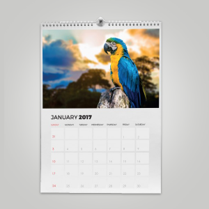 wall calender